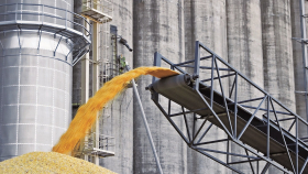6 декабря в госфонд закупили 49,68 тысячи тонн зерна